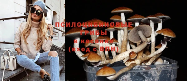 метадон Богородск