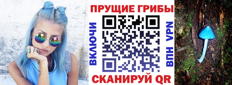 Псилоцибиновые грибы GOLDEN TEACHER  Купить где  Сафоново 